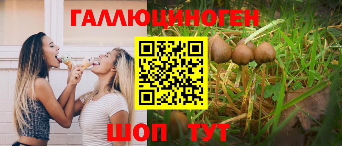 Галлюциногенные грибы GOLDEN TEACHER  Вход с VPN  Галлюциногенные грибы мухоморы  Великие Луки 